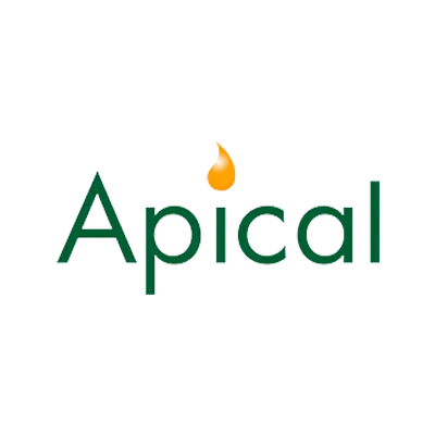 Apical